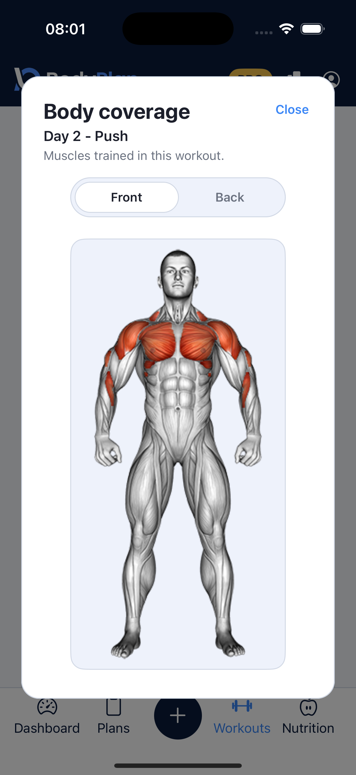 Body coverage thumbnail