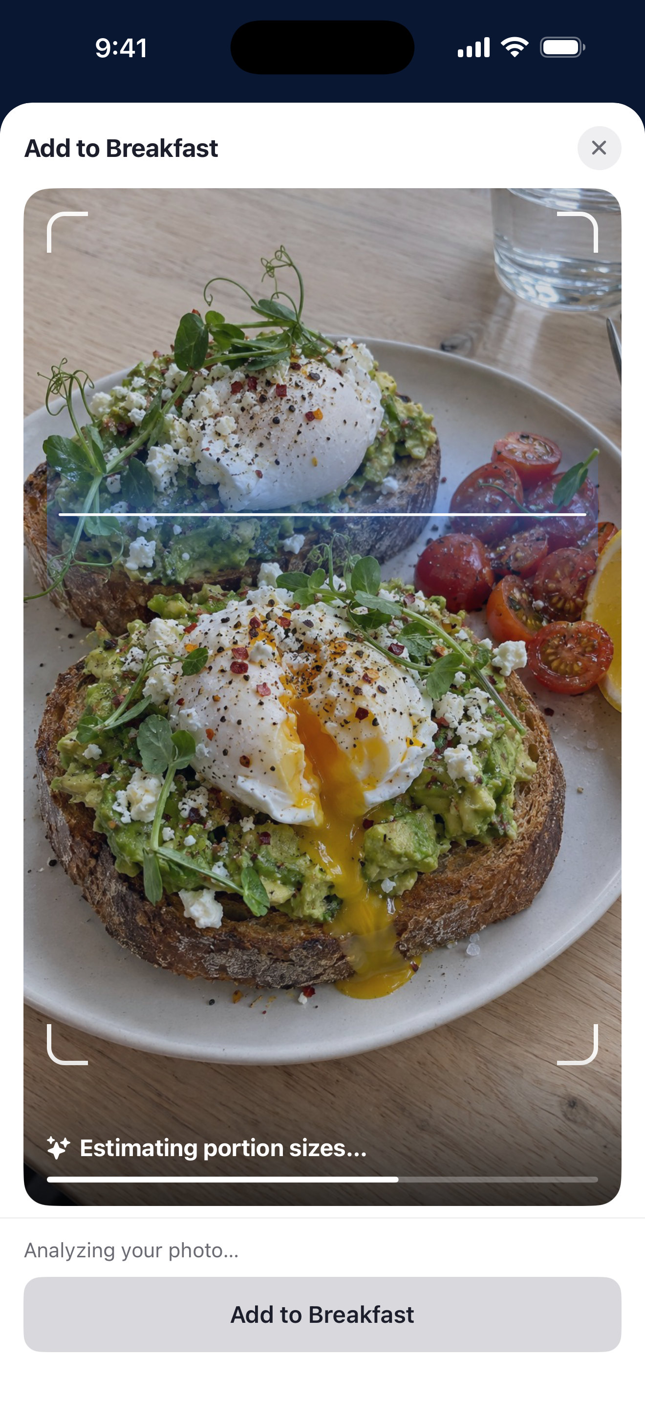 BodyPlan food scanner estimating the portions in a photographed meal